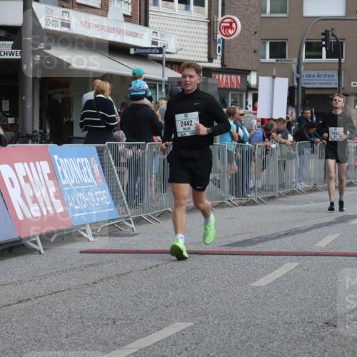 15.09.2024 - PSD Bank Halbmarathon Michael Strokosch http://msf.ph/oto/7080592 15.09.2024 12:25:24 Ziel 1153, 2239, 2250, 2267, 2442, 3283 meine-sportfotos.de