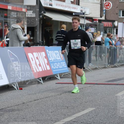 15.09.2024 - PSD Bank Halbmarathon Michael Strokosch http://msf.ph/oto/7080608 15.09.2024 12:25:24 Ziel 1153, 2239, 2250, 2267, 2442, 3283 meine-sportfotos.de