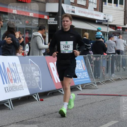 15.09.2024 - PSD Bank Halbmarathon Michael Strokosch http://msf.ph/oto/7080622 15.09.2024 12:25:25 Ziel 1153, 2250, 2442, 3283 meine-sportfotos.de