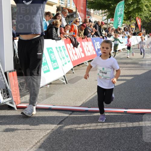 15.09.2024 - PSD Bank Halbmarathon Strokosch-Dieckow http://msf.ph/oto/7080627 15.09.2024 10:32:12 Ziel 11, 56, 57, 151, 202, 223, 267, 276, 299 meine-sportfotos.de