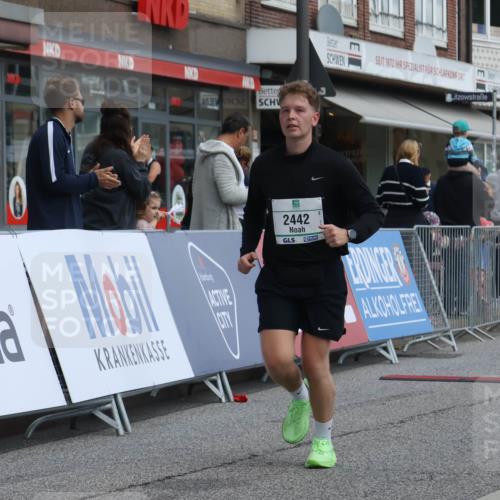 15.09.2024 - PSD Bank Halbmarathon Michael Strokosch http://msf.ph/oto/7080629 15.09.2024 12:25:25 Ziel 1153, 2250, 2442, 3283 meine-sportfotos.de