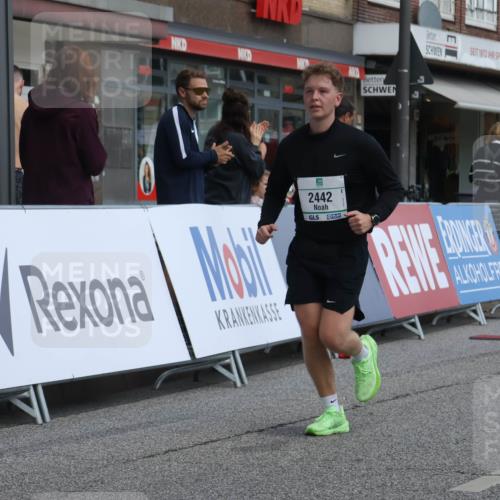 15.09.2024 - PSD Bank Halbmarathon Michael Strokosch http://msf.ph/oto/7080633 15.09.2024 12:25:26 Ziel 1153, 1841, 2250, 2386, 2442, 3283 meine-sportfotos.de