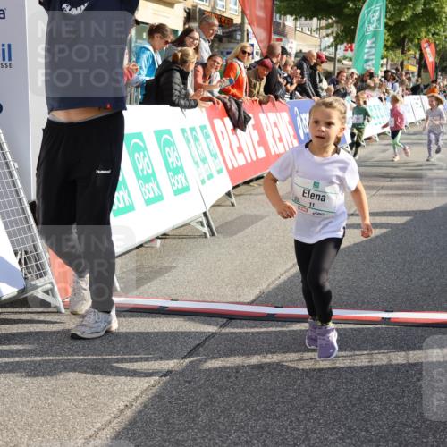 15.09.2024 - PSD Bank Halbmarathon Strokosch-Dieckow http://msf.ph/oto/7080678 15.09.2024 10:32:12 Ziel 11, 56, 57, 151, 202, 223, 267, 276, 299 meine-sportfotos.de