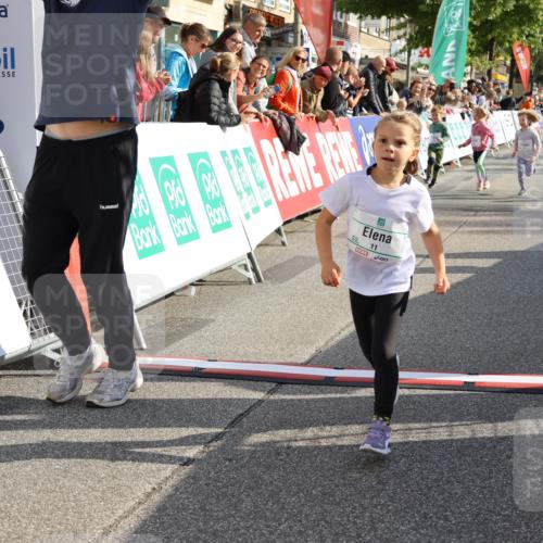 15.09.2024 - PSD Bank Halbmarathon Strokosch-Dieckow http://msf.ph/oto/7080702 15.09.2024 10:32:12 Ziel 11, 56, 57, 151, 202, 223, 267, 276, 299 meine-sportfotos.de
