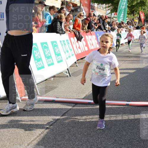 15.09.2024 - PSD Bank Halbmarathon Strokosch-Dieckow http://msf.ph/oto/7080731 15.09.2024 10:32:12 Ziel 11, 56, 57, 151, 202, 223, 267, 276, 299 meine-sportfotos.de
