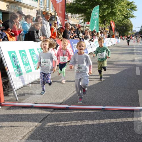 15.09.2024 - PSD Bank Halbmarathon Strokosch-Dieckow http://msf.ph/oto/7080757 15.09.2024 10:32:16 Ziel 11, 56, 57, 151, 202, 267, 276, 299 meine-sportfotos.de