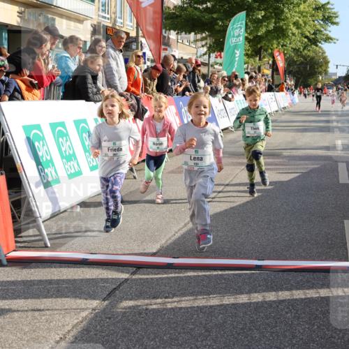15.09.2024 - PSD Bank Halbmarathon Strokosch-Dieckow http://msf.ph/oto/7080786 15.09.2024 10:32:16 Ziel 11, 56, 57, 151, 202, 267, 276, 299 meine-sportfotos.de