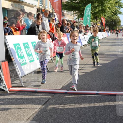 15.09.2024 - PSD Bank Halbmarathon Strokosch-Dieckow http://msf.ph/oto/7080804 15.09.2024 10:32:16 Ziel 11, 56, 57, 151, 202, 267, 276, 299 meine-sportfotos.de