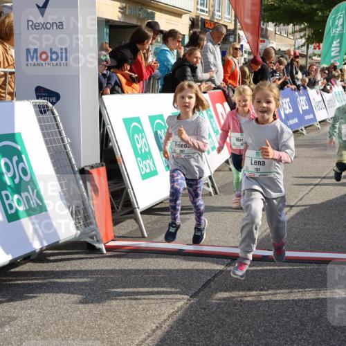 15.09.2024 - PSD Bank Halbmarathon Strokosch-Dieckow http://msf.ph/oto/7080828 15.09.2024 10:32:16 Ziel 11, 56, 57, 151, 202, 267, 276, 299 meine-sportfotos.de