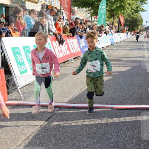 15.09.2024 - PSD Bank Halbmarathon Strokosch-Dieckow http://msf.ph/oto/7080898 15.09.2024 10:32:17 Ziel 11, 56, 57, 151, 202, 267, 276, 299 meine-sportfotos.de