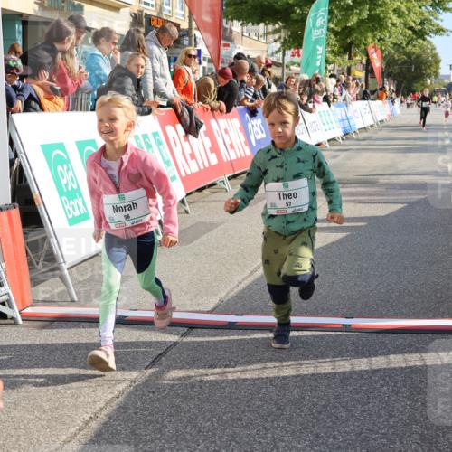 15.09.2024 - PSD Bank Halbmarathon Strokosch-Dieckow http://msf.ph/oto/7080930 15.09.2024 10:32:17 Ziel 11, 56, 57, 151, 202, 267, 276, 299 meine-sportfotos.de