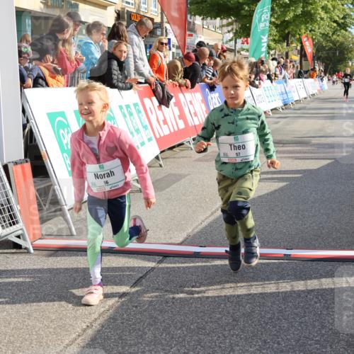 15.09.2024 - PSD Bank Halbmarathon Strokosch-Dieckow http://msf.ph/oto/7080947 15.09.2024 10:32:17 Ziel 11, 56, 57, 151, 202, 267, 276, 299 meine-sportfotos.de