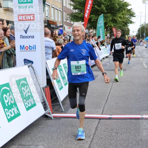 15.09.2024 - PSD Bank Halbmarathon Strokosch-Dieckow http://msf.ph/oto/7080964 15.09.2024 12:25:46 Ziel 1841, 2239, 2267, 2386, 2442 meine-sportfotos.de