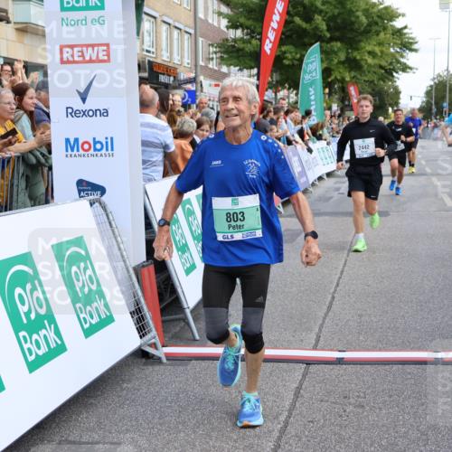 15.09.2024 - PSD Bank Halbmarathon Strokosch-Dieckow http://msf.ph/oto/7080984 15.09.2024 12:25:46 Ziel 1841, 2239, 2267, 2386, 2442 meine-sportfotos.de