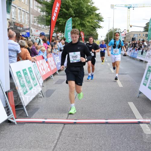 15.09.2024 - PSD Bank Halbmarathon Strokosch-Dieckow http://msf.ph/oto/7081063 15.09.2024 12:25:47 Ziel 1841, 2239, 2250, 2267, 2386, 2442, 3283 meine-sportfotos.de