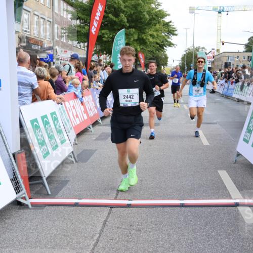 15.09.2024 - PSD Bank Halbmarathon Strokosch-Dieckow http://msf.ph/oto/7081126 15.09.2024 12:25:47 Ziel 1841, 2239, 2250, 2267, 2386, 2442, 3283 meine-sportfotos.de