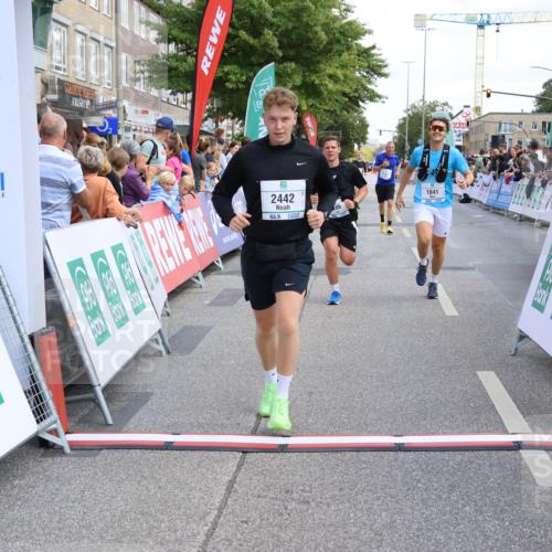 15.09.2024 - PSD Bank Halbmarathon Strokosch-Dieckow http://msf.ph/oto/7081148 15.09.2024 12:25:48 Ziel 1841, 2239, 2250, 2267, 2386, 2442, 3283 meine-sportfotos.de