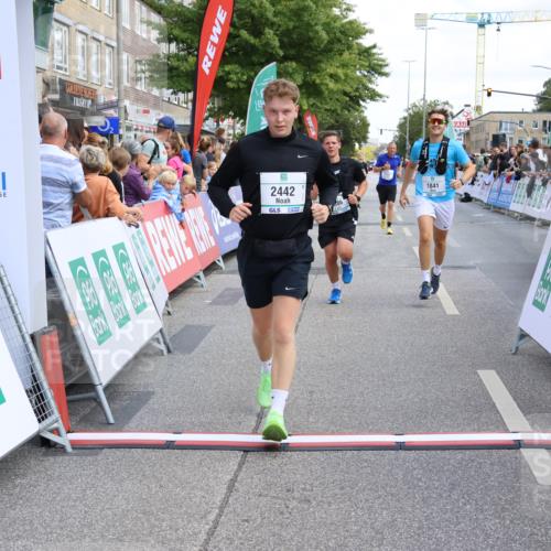 15.09.2024 - PSD Bank Halbmarathon Strokosch-Dieckow http://msf.ph/oto/7081180 15.09.2024 12:25:48 Ziel 1841, 2239, 2250, 2267, 2386, 2442, 3283 meine-sportfotos.de