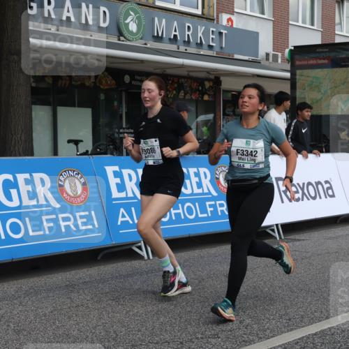 15.09.2024 - PSD Bank Halbmarathon Michael Strokosch http://msf.ph/oto/7081204 15.09.2024 12:26:19 Ziel 2183, 2186, 3086, 3237, 3342, 3489 meine-sportfotos.de