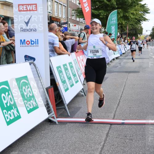 15.09.2024 - PSD Bank Halbmarathon Strokosch-Dieckow http://msf.ph/oto/7081941 15.09.2024 12:26:10 Ziel 1153, 3239, 3286 meine-sportfotos.de