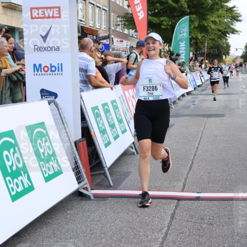 15.09.2024 - PSD Bank Halbmarathon Strokosch-Dieckow http://msf.ph/oto/7081963 15.09.2024 12:26:10 Ziel 1153, 3239, 3286 meine-sportfotos.de