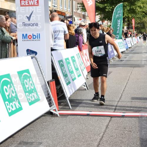 15.09.2024 - PSD Bank Halbmarathon Strokosch-Dieckow http://msf.ph/oto/7081967 15.09.2024 12:35:19 Ziel 2438, 2444, 3151, 3273, 3485 meine-sportfotos.de
