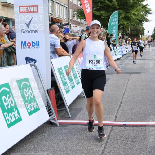 15.09.2024 - PSD Bank Halbmarathon Strokosch-Dieckow http://msf.ph/oto/7082042 15.09.2024 12:26:10 Ziel 1153, 3239, 3286 meine-sportfotos.de