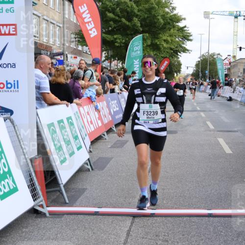 15.09.2024 - PSD Bank Halbmarathon Strokosch-Dieckow http://msf.ph/oto/7082076 15.09.2024 12:26:15 Ziel 3226, 3239, 3281, 3286 meine-sportfotos.de