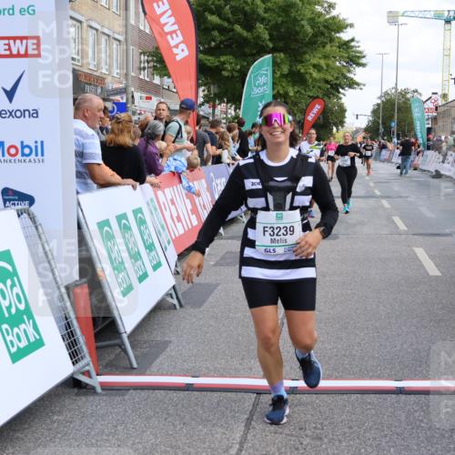 15.09.2024 - PSD Bank Halbmarathon Strokosch-Dieckow http://msf.ph/oto/7082181 15.09.2024 12:26:15 Ziel 3226, 3239, 3281, 3286 meine-sportfotos.de