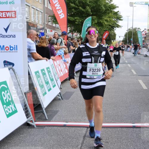 15.09.2024 - PSD Bank Halbmarathon Strokosch-Dieckow http://msf.ph/oto/7082239 15.09.2024 12:26:15 Ziel 3226, 3239, 3281, 3286 meine-sportfotos.de