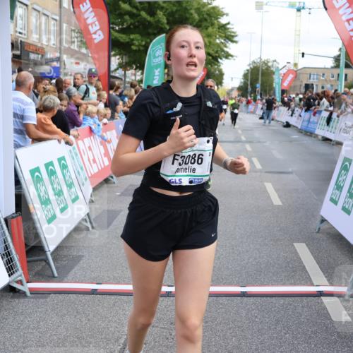 15.09.2024 - PSD Bank Halbmarathon Strokosch-Dieckow http://msf.ph/oto/7083066 15.09.2024 12:26:35 Ziel 2183, 2186, 3086, 3156, 3157, 3342, 3413 meine-sportfotos.de