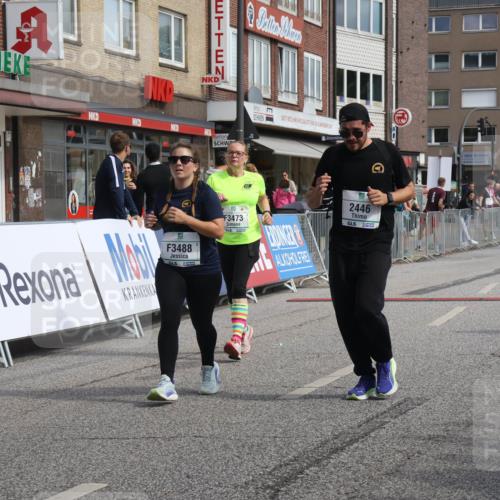 15.09.2024 - PSD Bank Halbmarathon Michael Strokosch http://msf.ph/oto/7083252 15.09.2024 12:29:17 Ziel 2446, 3129, 3473, 3488 meine-sportfotos.de