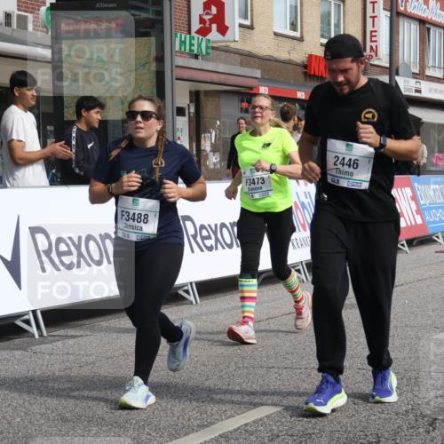 15.09.2024 - PSD Bank Halbmarathon Michael Strokosch http://msf.ph/oto/7083258 15.09.2024 12:29:18 Ziel 2446, 3129, 3473, 3488 meine-sportfotos.de