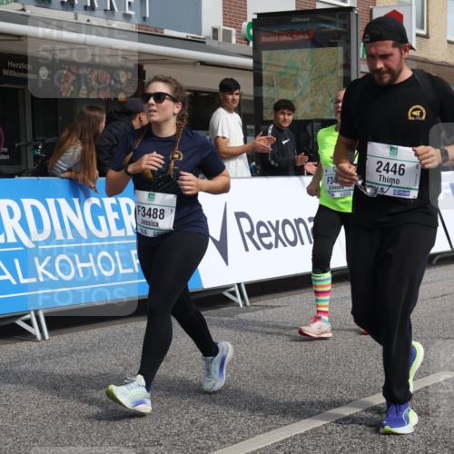 15.09.2024 - PSD Bank Halbmarathon Michael Strokosch http://msf.ph/oto/7083269 15.09.2024 12:29:19 Ziel 2446, 3129, 3473, 3488 meine-sportfotos.de