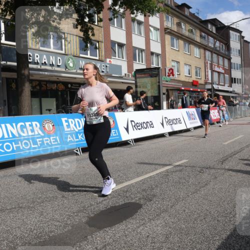15.09.2024 - PSD Bank Halbmarathon Michael Strokosch http://msf.ph/oto/7083417 15.09.2024 12:29:37 Ziel 2093, 3055, 3091, 3334, 3385 meine-sportfotos.de