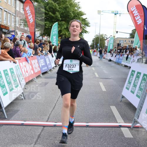 15.09.2024 - PSD Bank Halbmarathon Strokosch-Dieckow http://msf.ph/oto/7083629 15.09.2024 12:26:48 Ziel 2183, 2186, 3237, 3489 meine-sportfotos.de