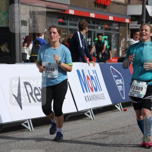 15.09.2024 - PSD Bank Halbmarathon Michael Strokosch http://msf.ph/oto/7083814 15.09.2024 12:30:03 Ziel 1390, 2111, 2889, 3349 meine-sportfotos.de