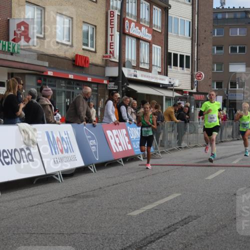 15.09.2024 - PSD Bank Halbmarathon Michael Strokosch http://msf.ph/oto/7083865 15.09.2024 11:21:40 Ziel 655, 854, 864, 867, 1049, 1092 meine-sportfotos.de