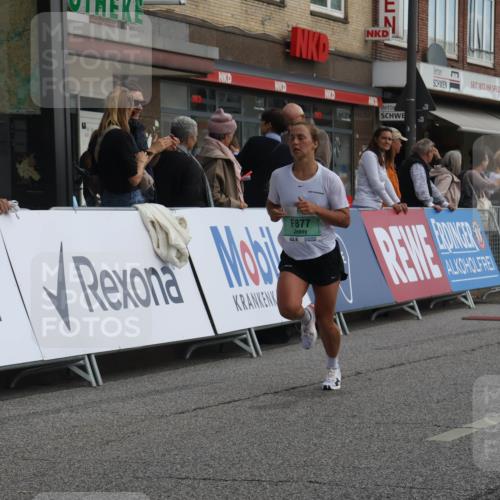 15.09.2024 - PSD Bank Halbmarathon Michael Strokosch http://msf.ph/oto/7084151 15.09.2024 11:22:10 Ziel 415, 422, 423, 631, 654, 876, 877 meine-sportfotos.de
