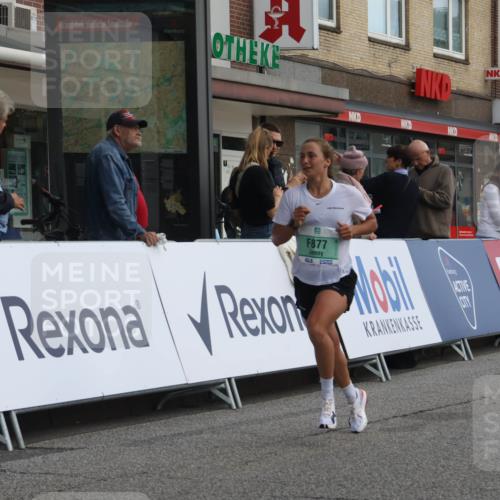 15.09.2024 - PSD Bank Halbmarathon Michael Strokosch http://msf.ph/oto/7084156 15.09.2024 11:22:10 Ziel 415, 422, 423, 631, 654, 876, 877 meine-sportfotos.de