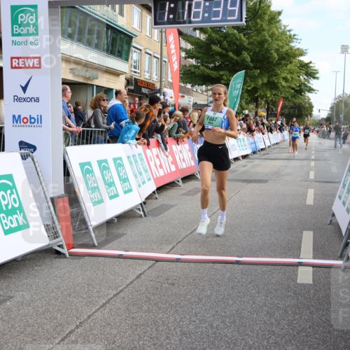 15.09.2024 - PSD Bank Halbmarathon Strokosch-Dieckow http://msf.ph/oto/7084232 15.09.2024 11:19:30 Ziel 628, 640, 859, 887, 1070 meine-sportfotos.de