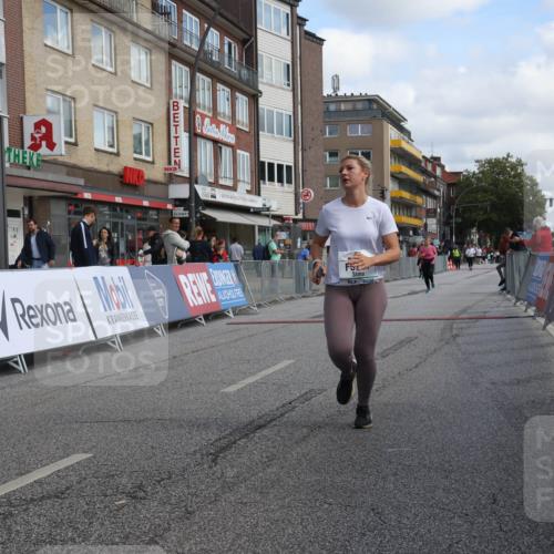 15.09.2024 - PSD Bank Halbmarathon Michael Strokosch http://msf.ph/oto/7085003 15.09.2024 12:31:57 Ziel 2684, 3104, 3203, 3291 meine-sportfotos.de