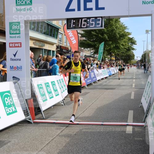 15.09.2024 - PSD Bank Halbmarathon Strokosch-Dieckow http://msf.ph/oto/7085994 15.09.2024 11:17:44 Ziel 416, 558, 580, 592 meine-sportfotos.de