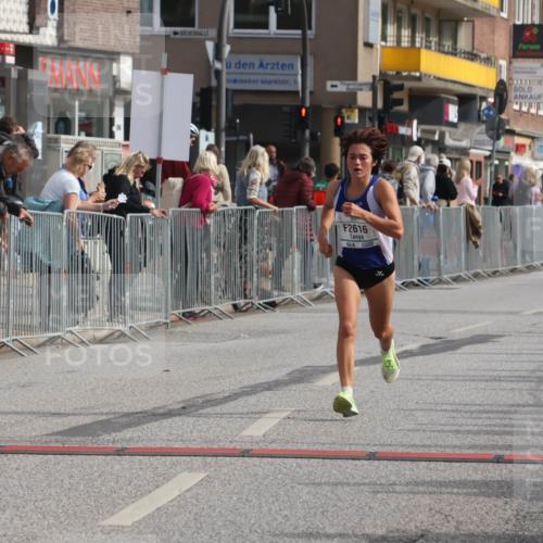 15.09.2024 - PSD Bank Halbmarathon Michael Strokosch http://msf.ph/oto/7086123 15.09.2024 11:25:43 Ziel 882, 888, 1069, 2616 meine-sportfotos.de