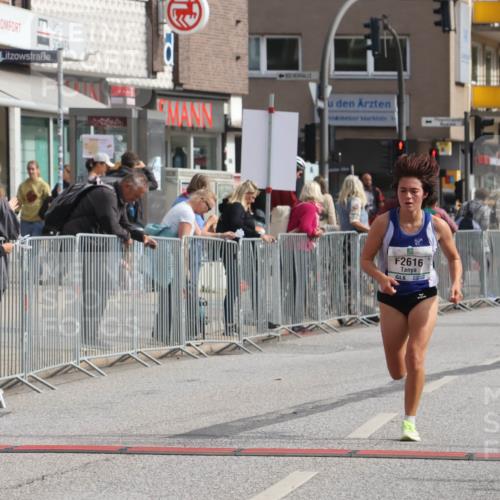 15.09.2024 - PSD Bank Halbmarathon Michael Strokosch http://msf.ph/oto/7086131 15.09.2024 11:25:43 Ziel 882, 888, 1069, 2616 meine-sportfotos.de