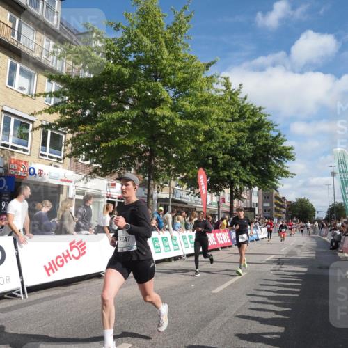 15.09.2024 - PSD Bank Halbmarathon Miley Keyser http://msf.ph/oto/7086157 15.09.2024 11:51:45 Ziel 1192, 1494, 1553, 1767, 1772, 1793, 2314, 2487, 2504, 2536, 2566, 2569, 2636, 2725, 2825, 2835, 3035, 3547 meine-sportfotos.de