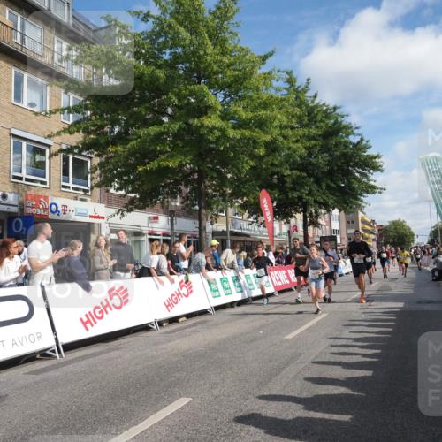 15.09.2024 - PSD Bank Halbmarathon Miley Keyser http://msf.ph/oto/7086481 15.09.2024 11:52:35 Ziel 1197, 1210, 1276, 1342, 1378, 1380, 1416, 1556, 1569, 1595, 1696, 1776, 1798, 1801, 1812, 1834, 1893, 1980, 2153, 2507, 2712, 2844, 3527 meine-sportfotos.de