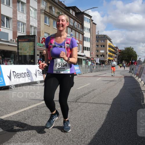 15.09.2024 - PSD Bank Halbmarathon Michael Strokosch http://msf.ph/oto/7087234 15.09.2024 12:36:35 Ziel 1978, 3404, 3411 meine-sportfotos.de