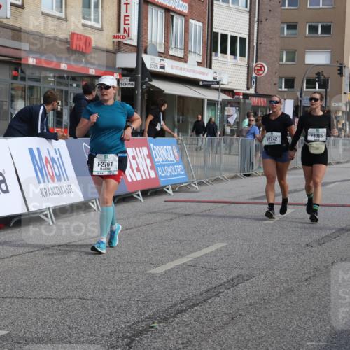 15.09.2024 - PSD Bank Halbmarathon Michael Strokosch http://msf.ph/oto/7087529 15.09.2024 12:37:18 Ziel 2742, 2761, 3386 meine-sportfotos.de