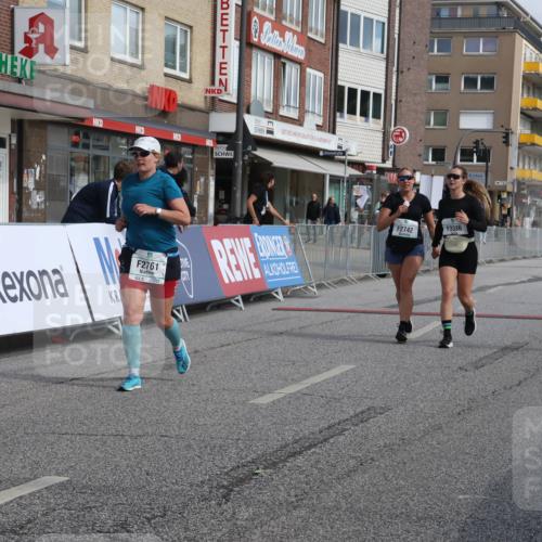 15.09.2024 - PSD Bank Halbmarathon Michael Strokosch http://msf.ph/oto/7087542 15.09.2024 12:37:18 Ziel 2742, 2761, 3386 meine-sportfotos.de